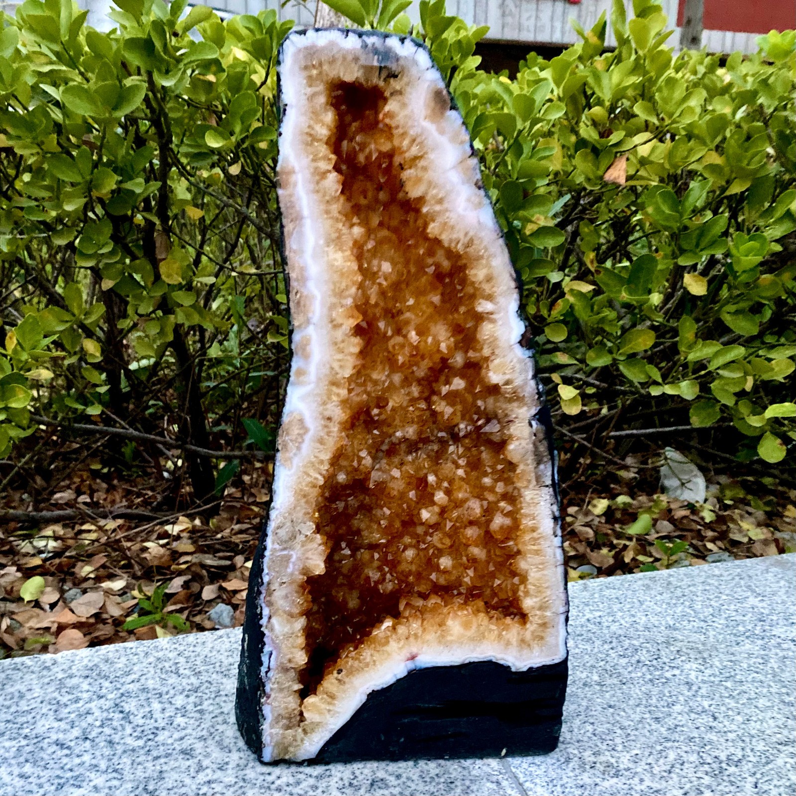 28.66LB Large Natural citrine geode cluster quartz crystal cathedrals specimen