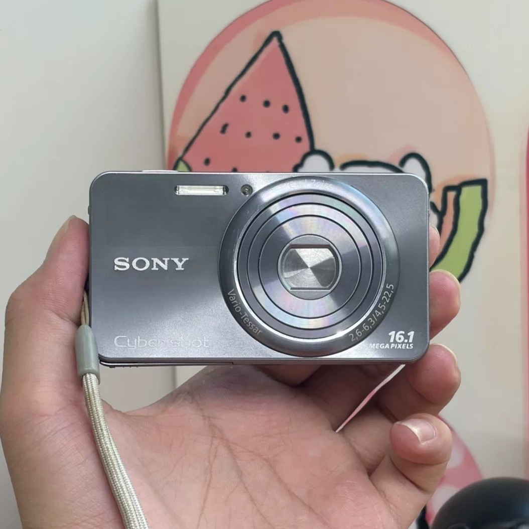 Sony Cyber-shot DSC-W570 CCD Digital Camera 16.1 MP 5x Zoom Silver Auto Focus