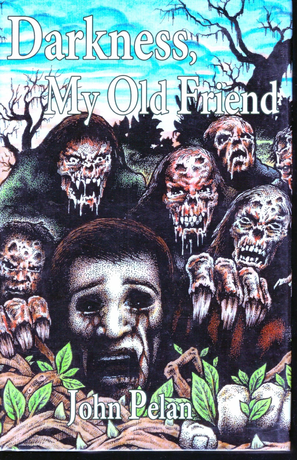 Darkness, My Old Friend John Pelan 1st Signed/\'Numbered\' Fedogan & Bremer AllenK