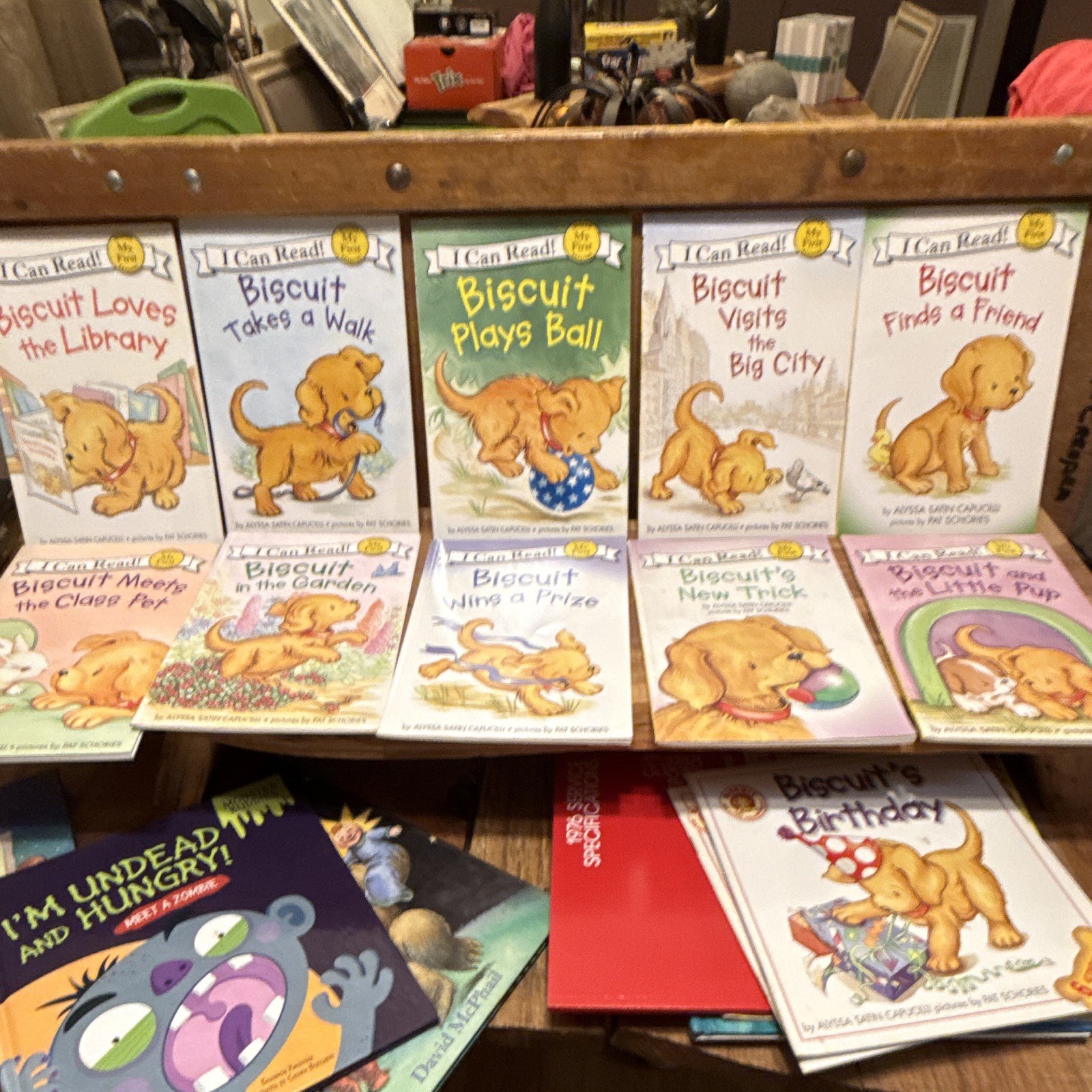 Biscuit I Can Read My First Books Lot of 10 Alyssa Satin Capucilli Early Readers Biscuit I Can Read My First Books Lot of 10 Alyssa Satin Capucilli Early Readers