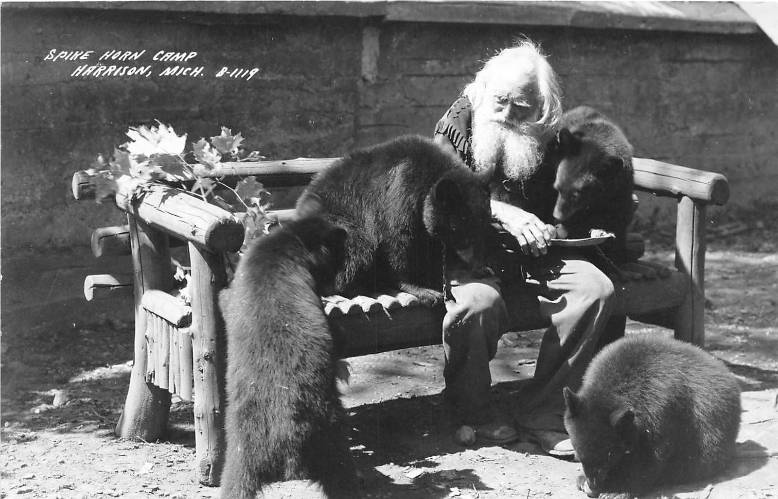 H32/ Harrison Michigan RPPC Postcard c40s Spikehorn Black Bear Den Feed 15 H32/ Harrison Michigan RPPC Postcard c40s Spikehorn Black Bear Den Feed 15