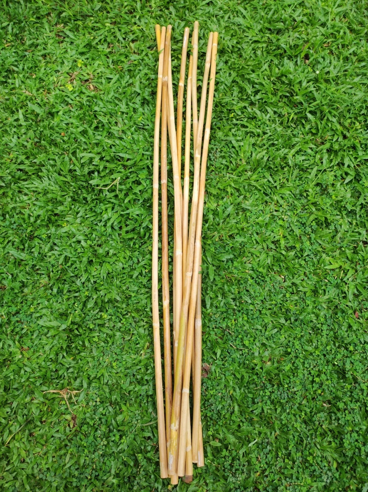 Rattan Cane Sticks 3pcs - Flexible/ Natural/ 0.6-0.8 cm diameter/ 40 Rattan Cane Sticks 3pcs - Flexible/ Natural/ 0.6-0.8 cm diameter/ 40
