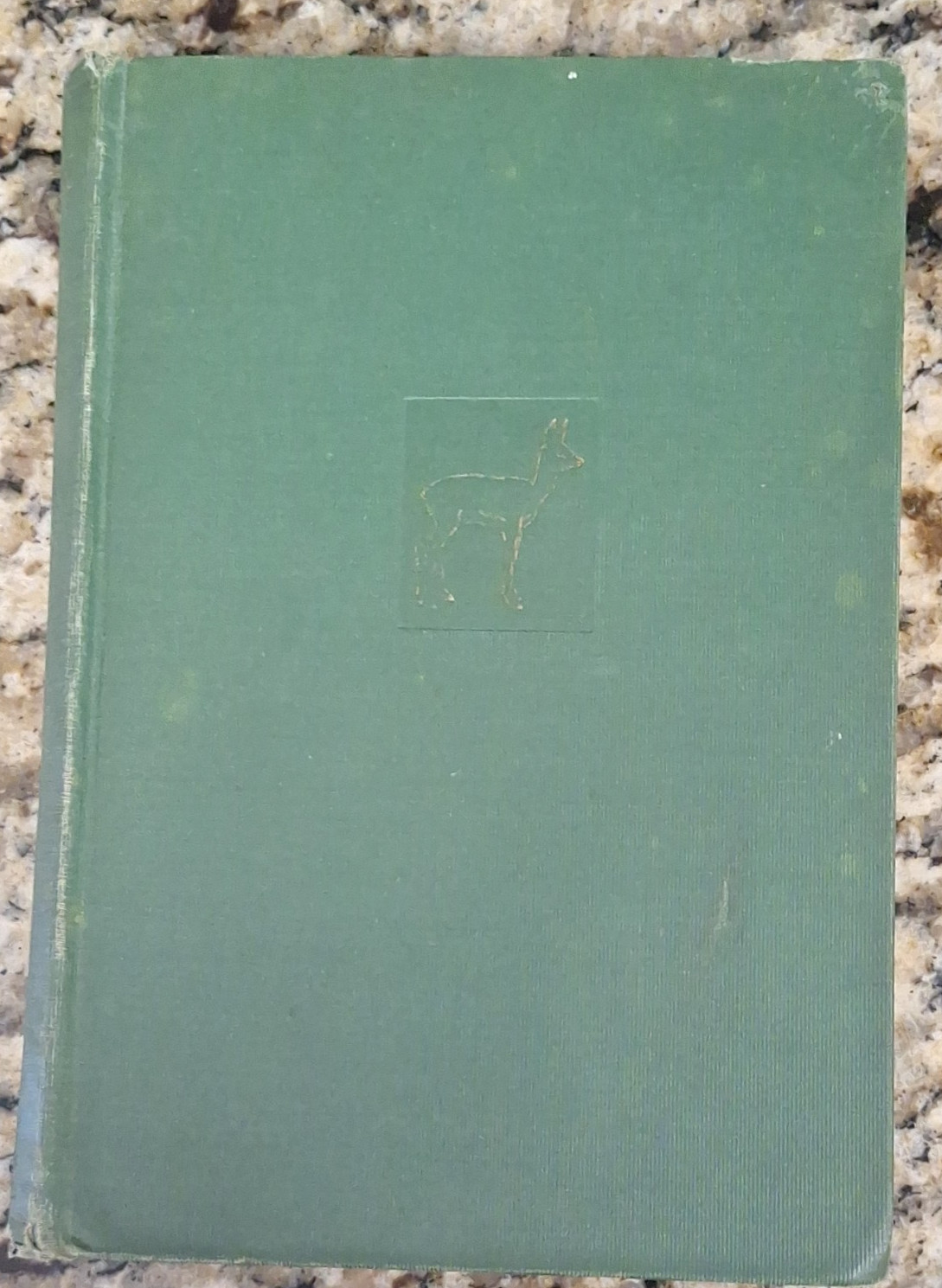 1928 Bambi A Life in the Woods Felix Salten 1st American Printing, HC 