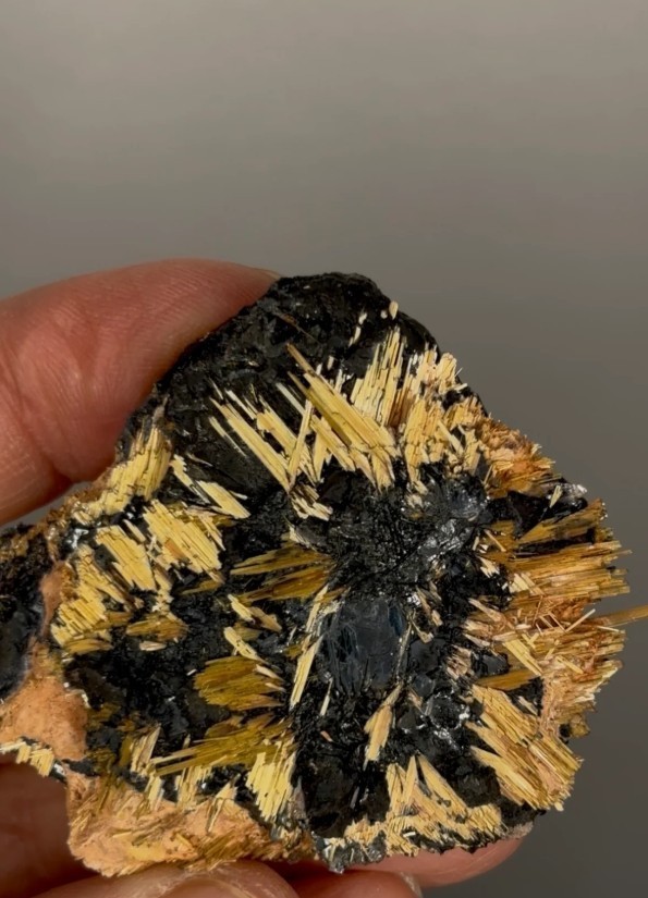 Amazing Golden Rutile with Shiny Hematite