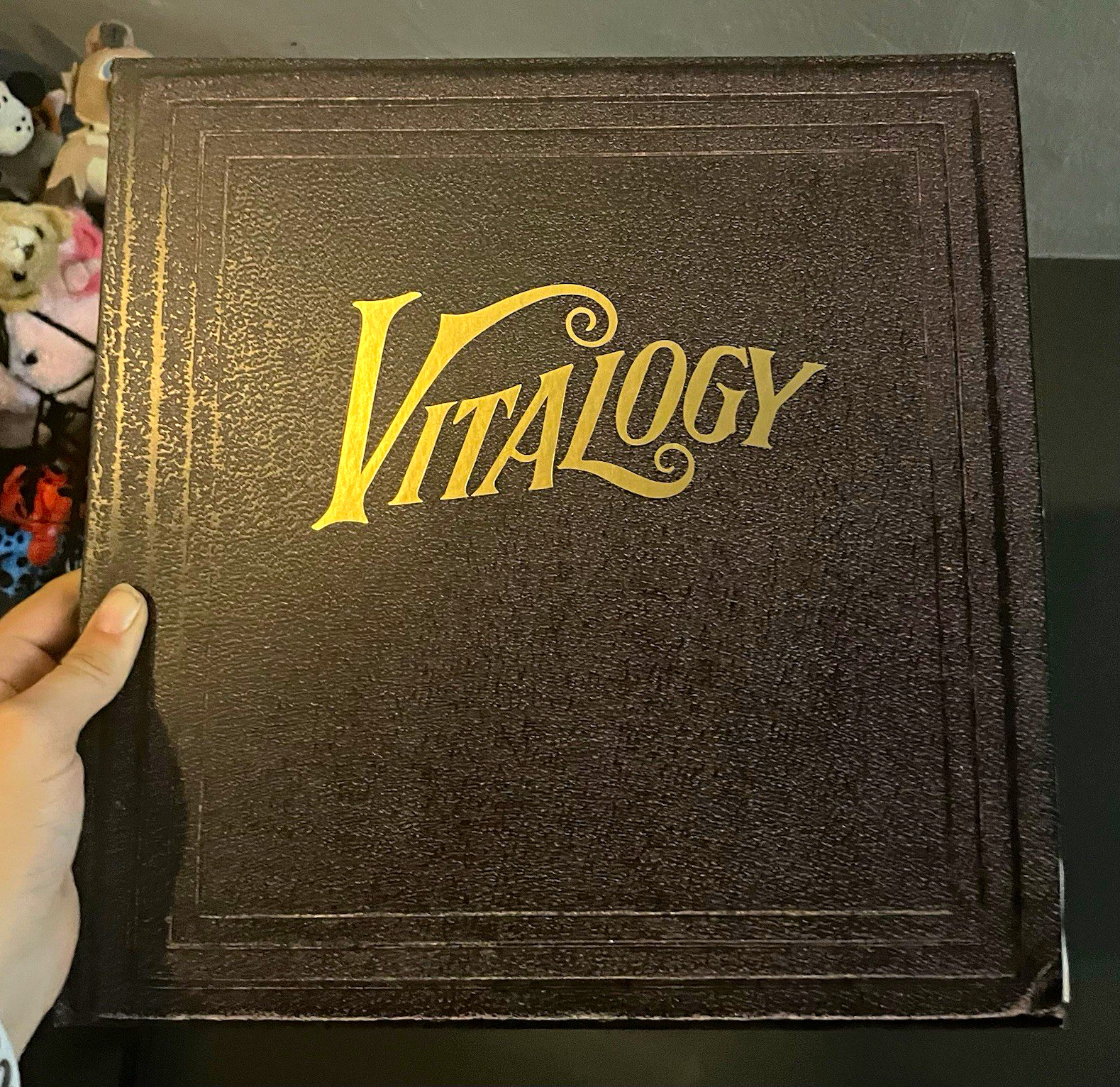 Pearl Jam Vitalogy 12\ Pearl Jam Vitalogy 12\