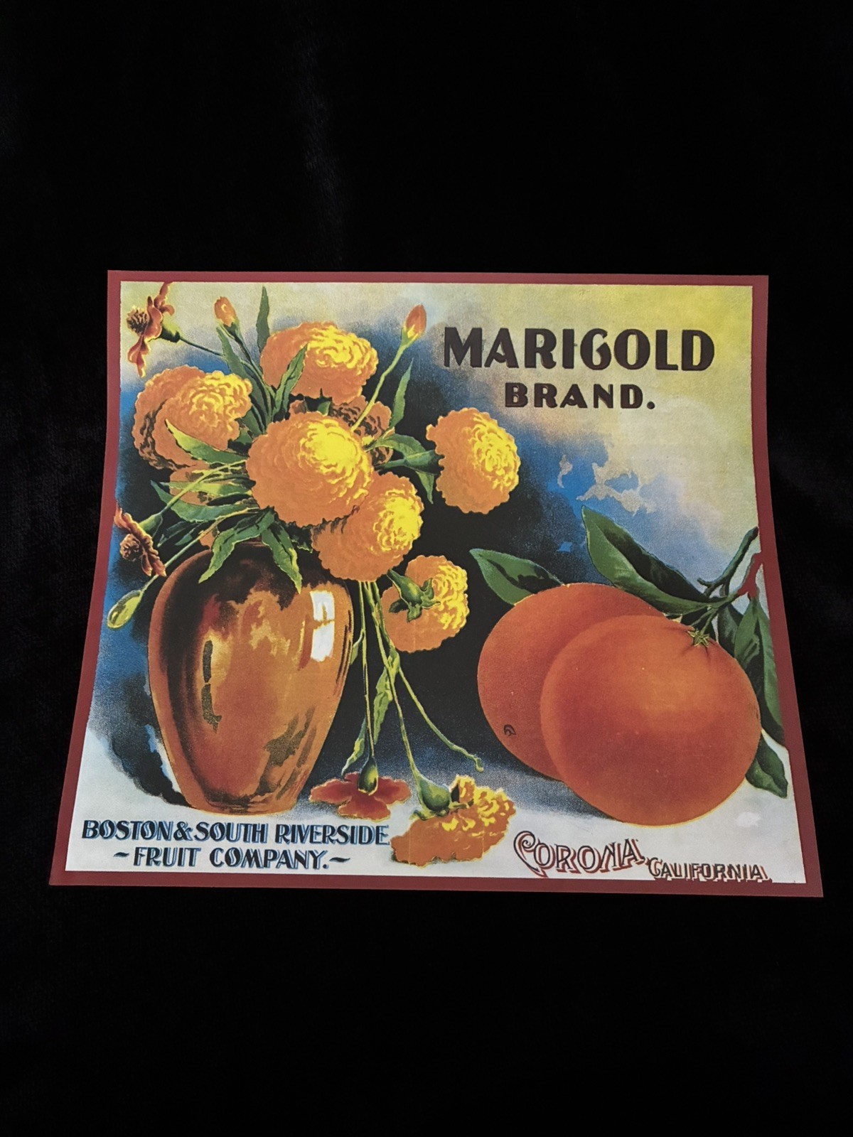 Corona Riverside County CA Marigold Flower Orange Citrus Fruit Crate Label Print