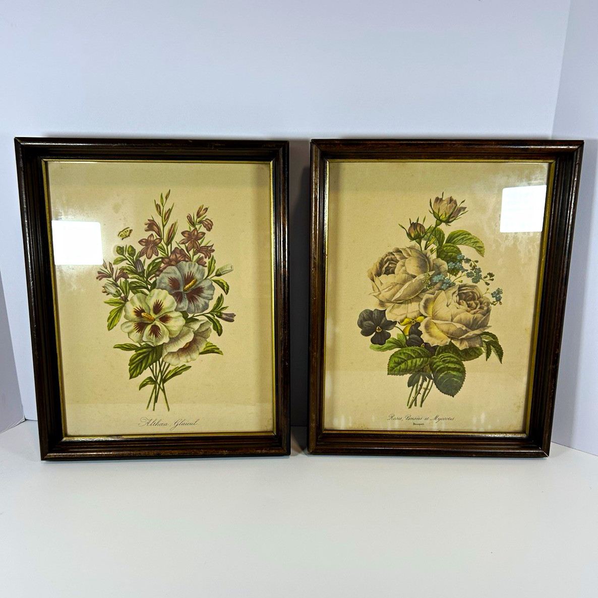 Vintage Pierre-Joseph Redouté Botanical Framed Prints - Pair of 2 (11\