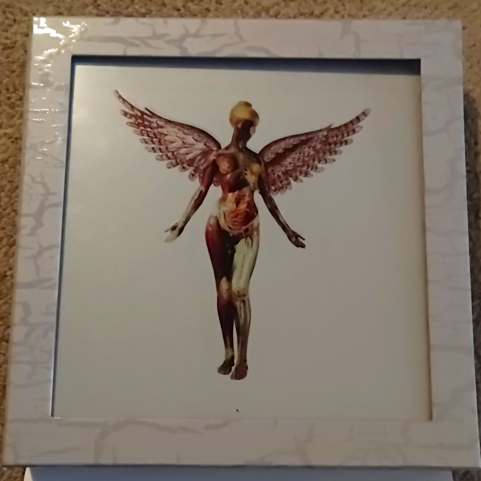 Nirvana In Utero 30th Anniversary Edition Vinyl Box Set Nirvana In Utero 30th Anniversary Edition Vinyl Box Set