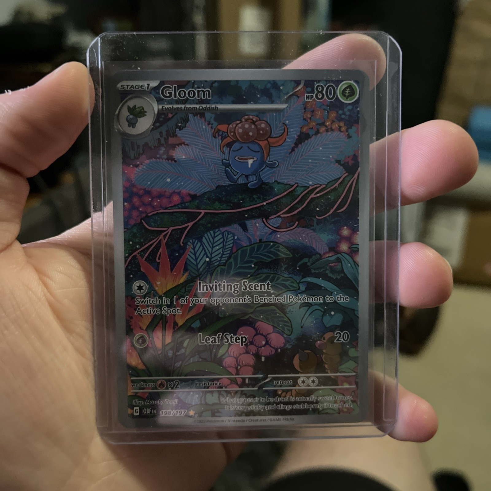 Pokemon TCG Gloom 198/197 SV03 Obsidian Flames Illustration Rare Holo EN Pokemon TCG Gloom 198/197 SV03 Obsidian Flames Illustration Rare Holo EN