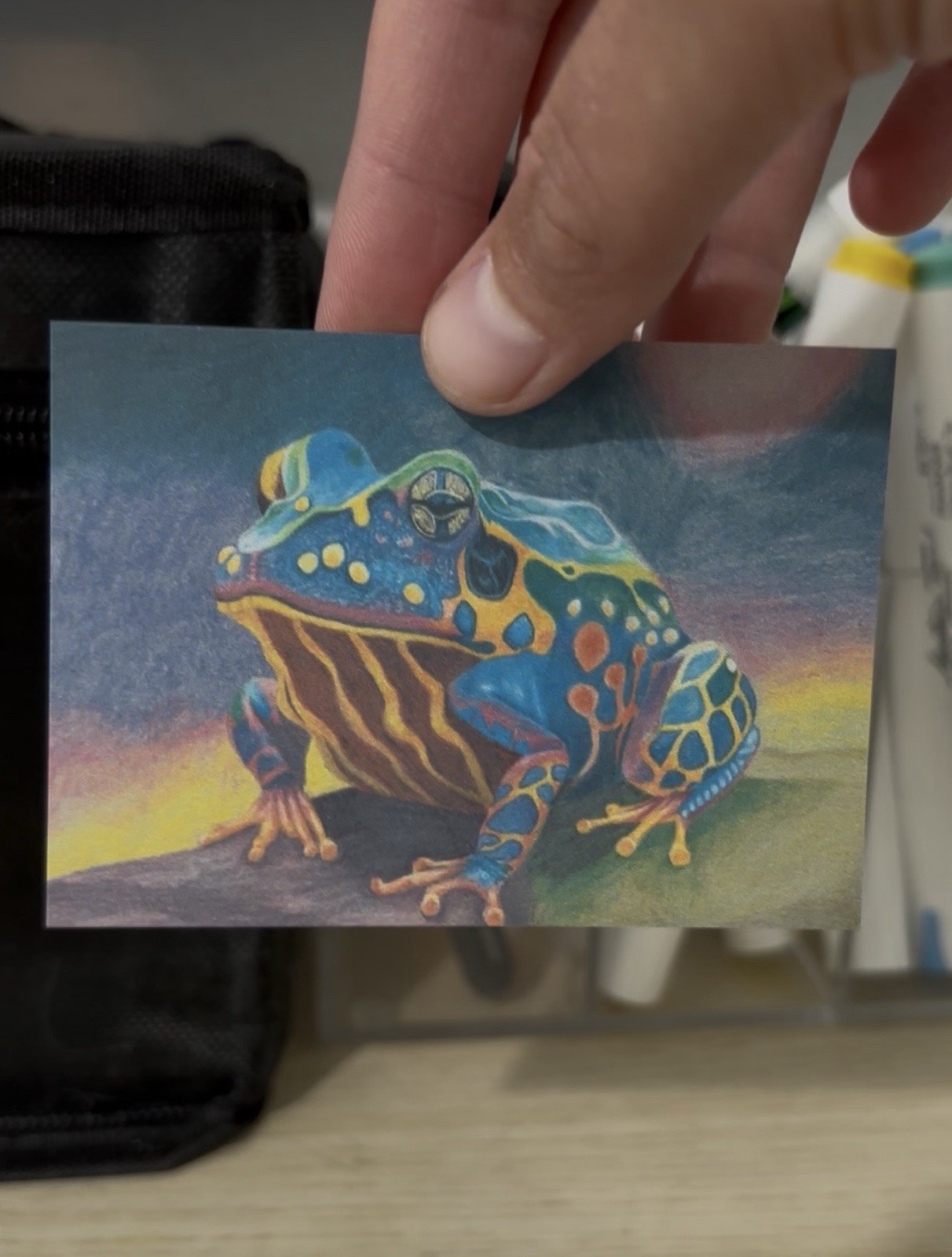 ACEO Original Art Print, Colorful Frog, Colored Pencil Drawing