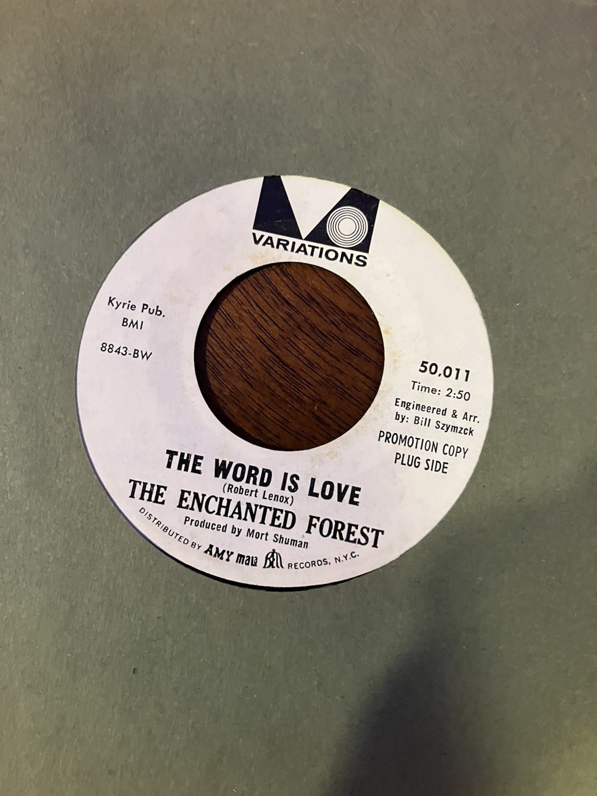 The Enchanted Forest  The Word Is Love/Cold Winds 7” 45 Promo  Girl Group 1968