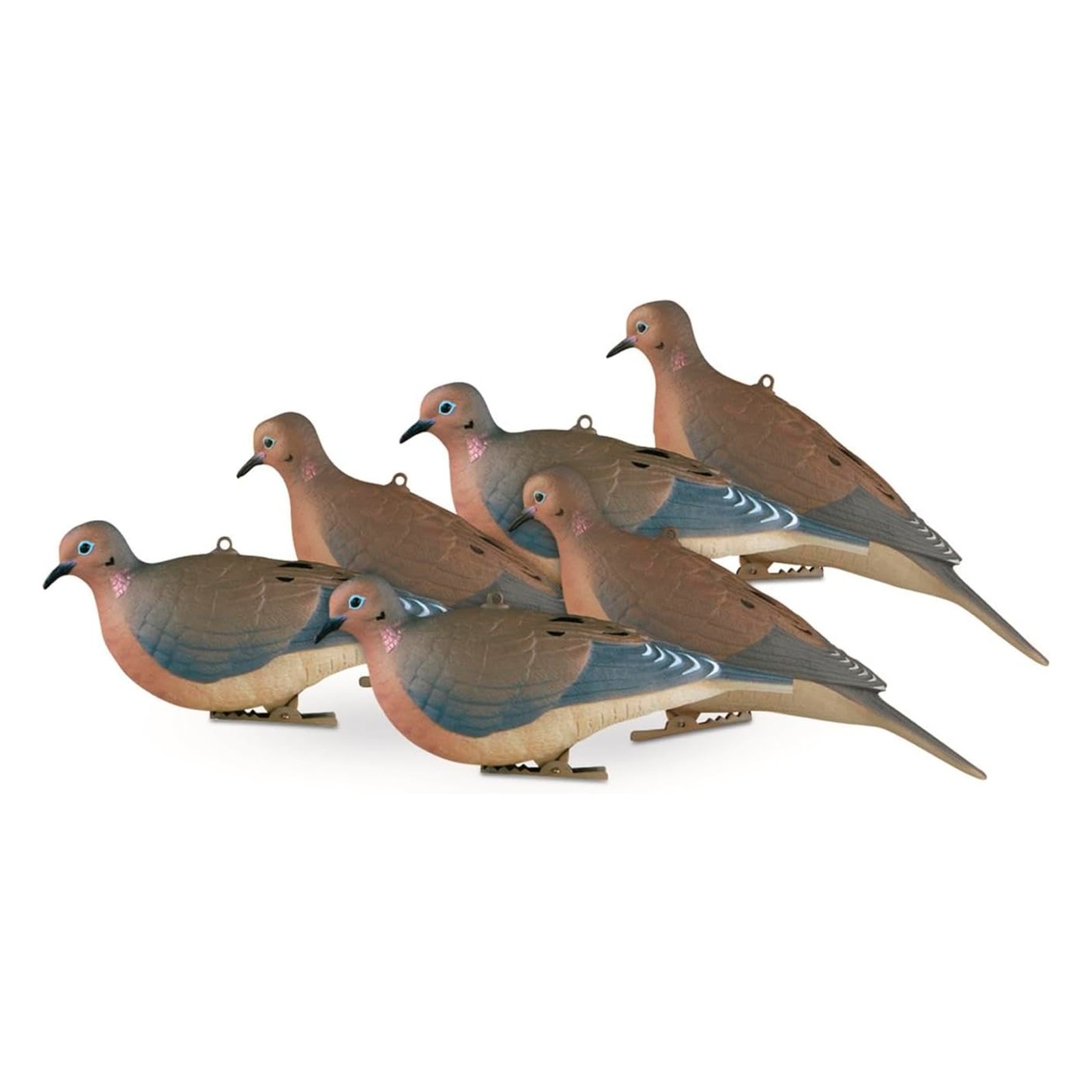 AVERY GHG Mourning Dove Decoys Resting Bird Combo Realistic Full-Body, 6-Pack