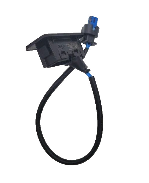 OEM 2013-2024 GM Tailgate Release Button - 85641400 / 85769760