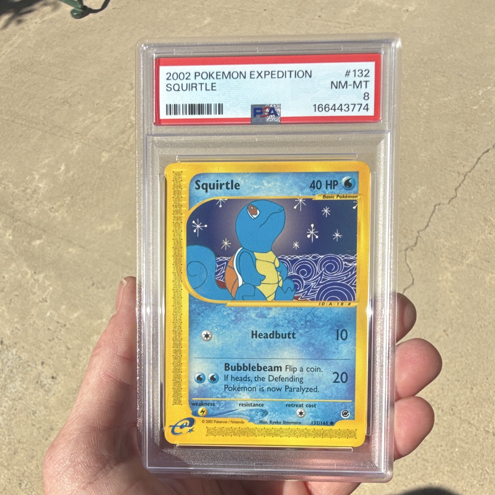 Pokemon Co. 2002 Squirtle 132/165 Expedition Base Set Regular PSA 8 Pokemon Co. 2002 Squirtle 132/165 Expedition Base Set Regular PSA 8