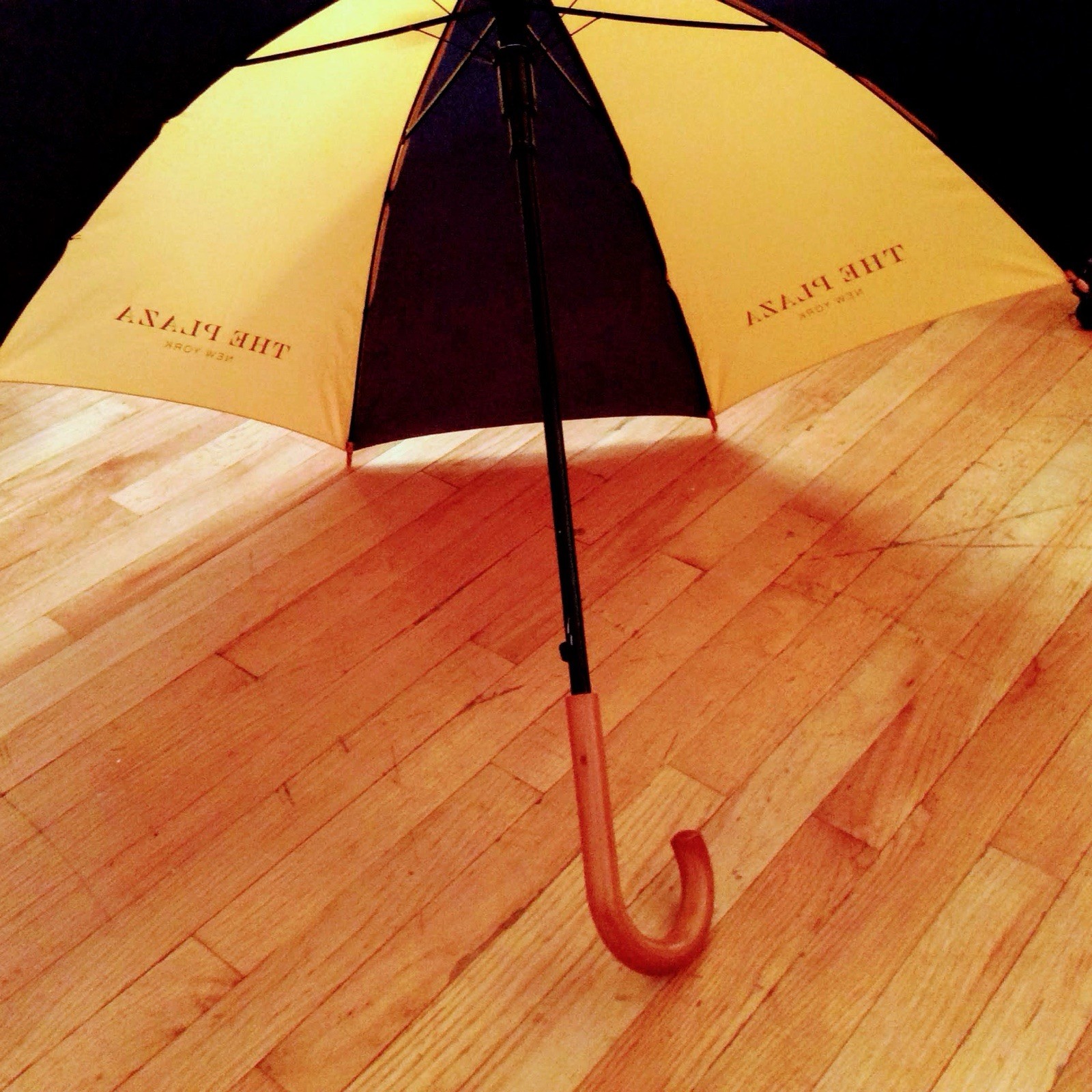 Plaza Hotel New york Yellow And Navy Stripe Umbrella - Wood Handle