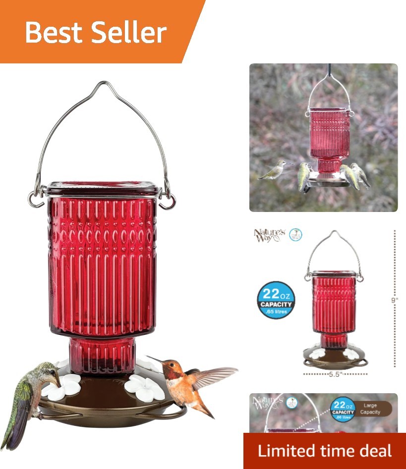 Elegant 22 oz Hanging Glass Hummingbird Feeder – Bee Resistant & Easy Clean