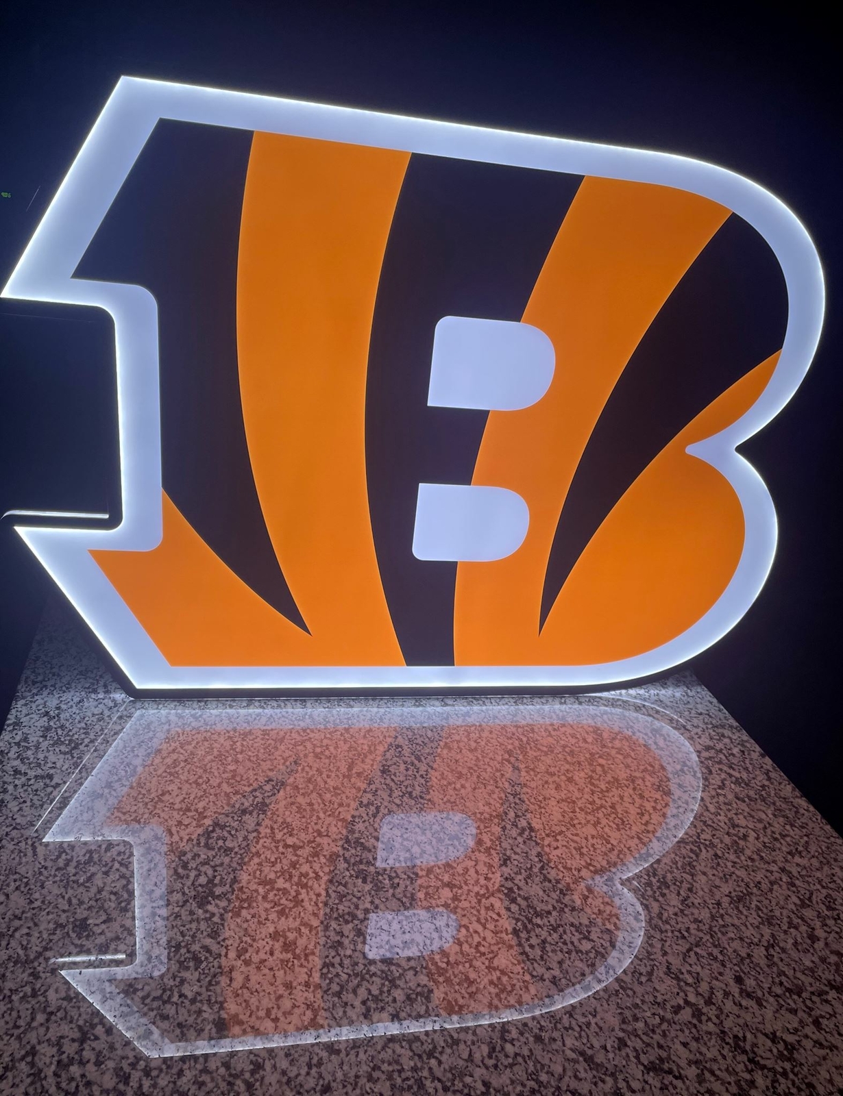 Cincinnati Bengals 3ft x 3ft Neon Sign Cincinnati Bengals 3ft x 3ft Neon Sign