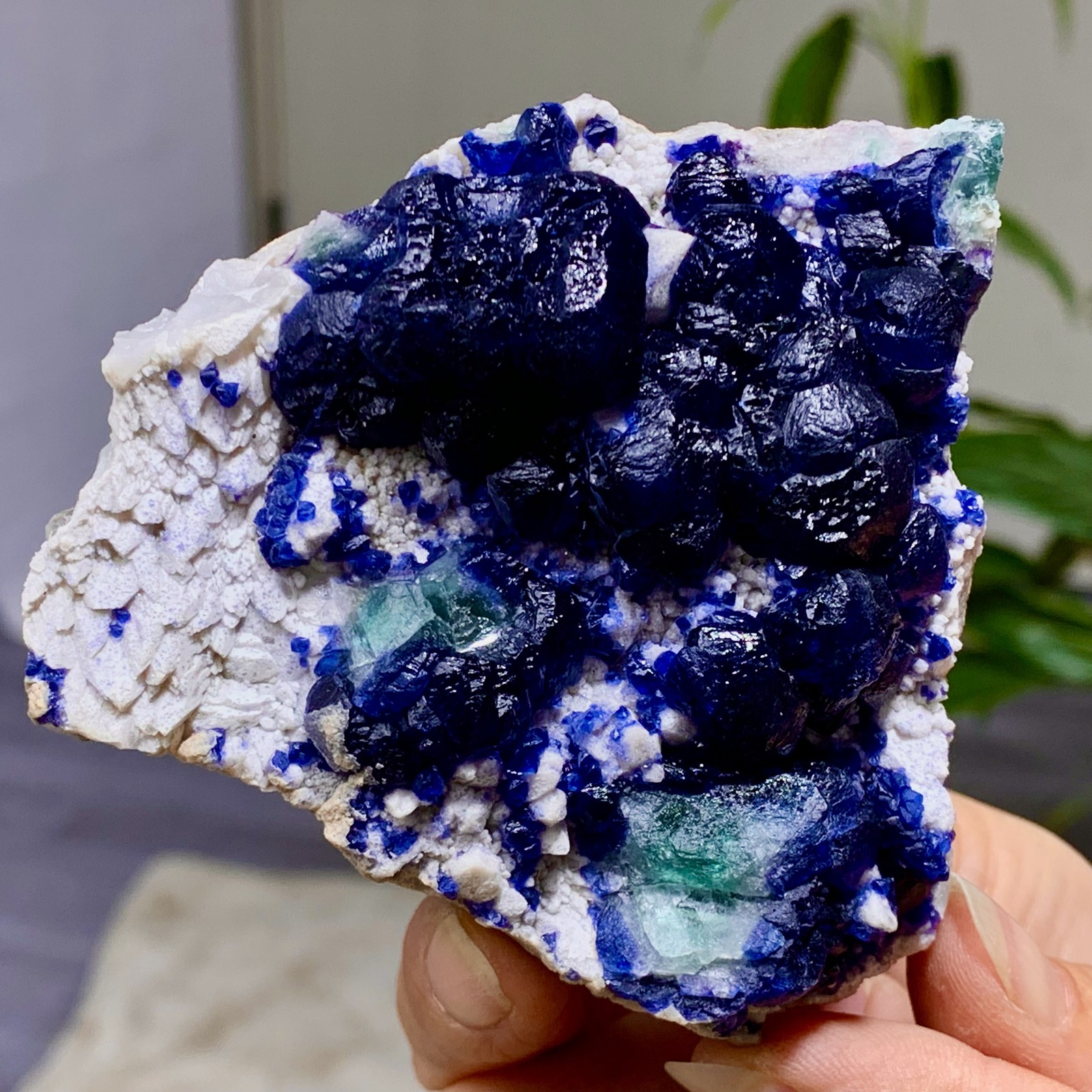 196G Natural Blueberry Fluorite Quartz Cluster Crystal Mineral specimen Healing