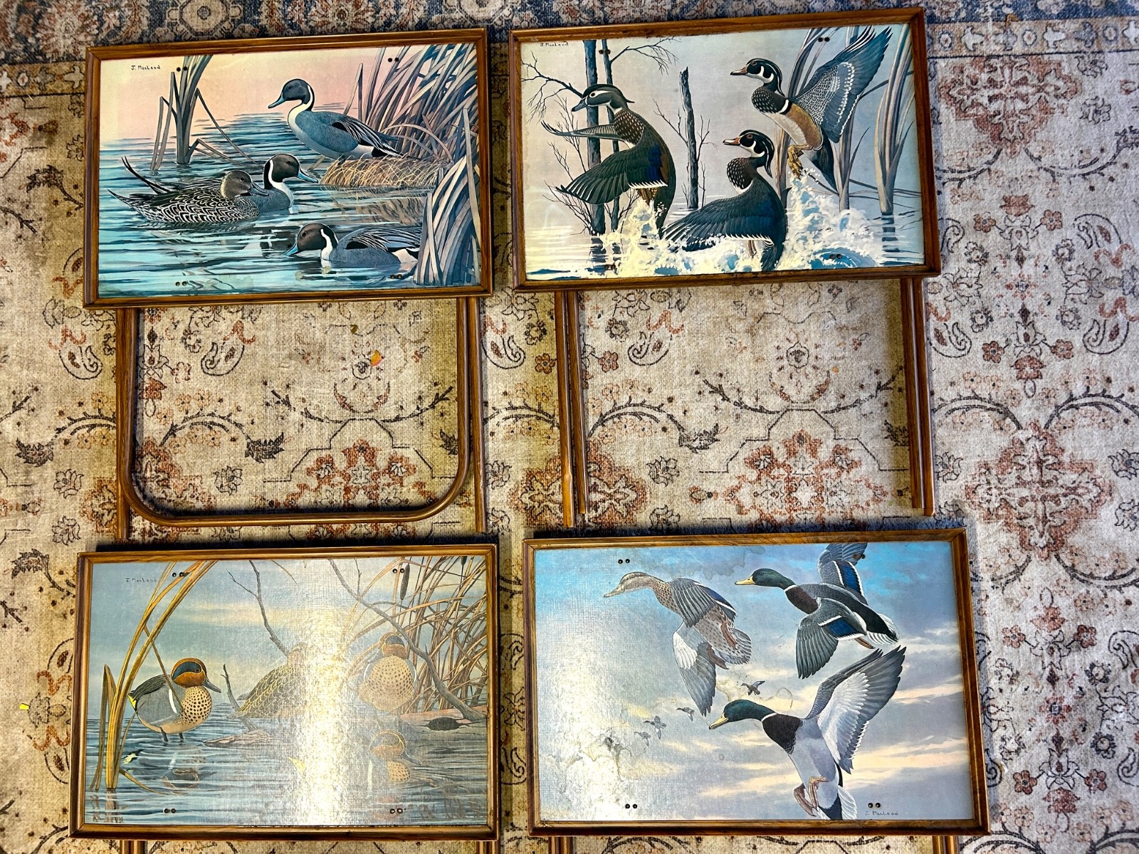 Vintage J. MacLeod Set 4 MCM Folding TV Tray Tables Mallards Ducks