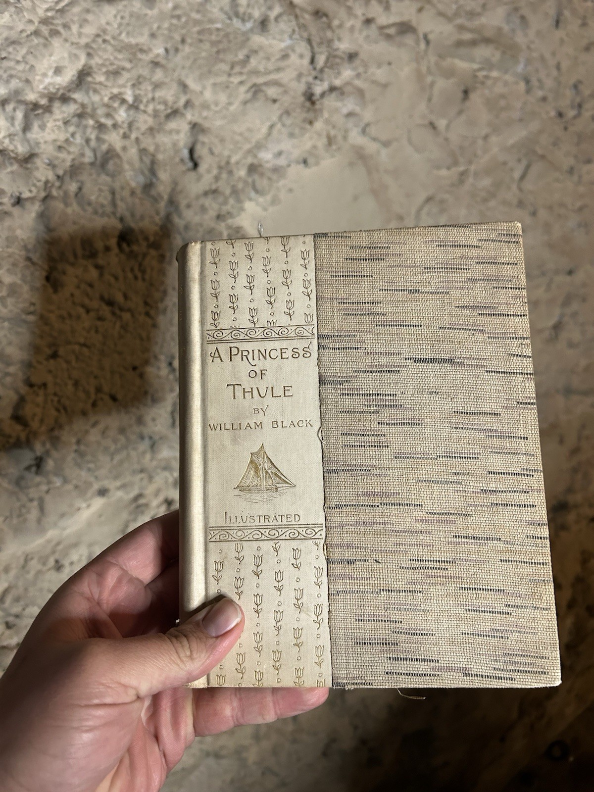 William Black A Princess of Thule Illustrated Hardcover Literature & Fiction