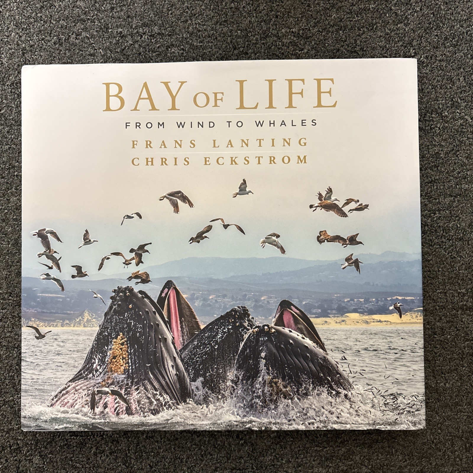 Bay of Life: From Wind to Whales by Frans Lanting/ Chris Eckstrom