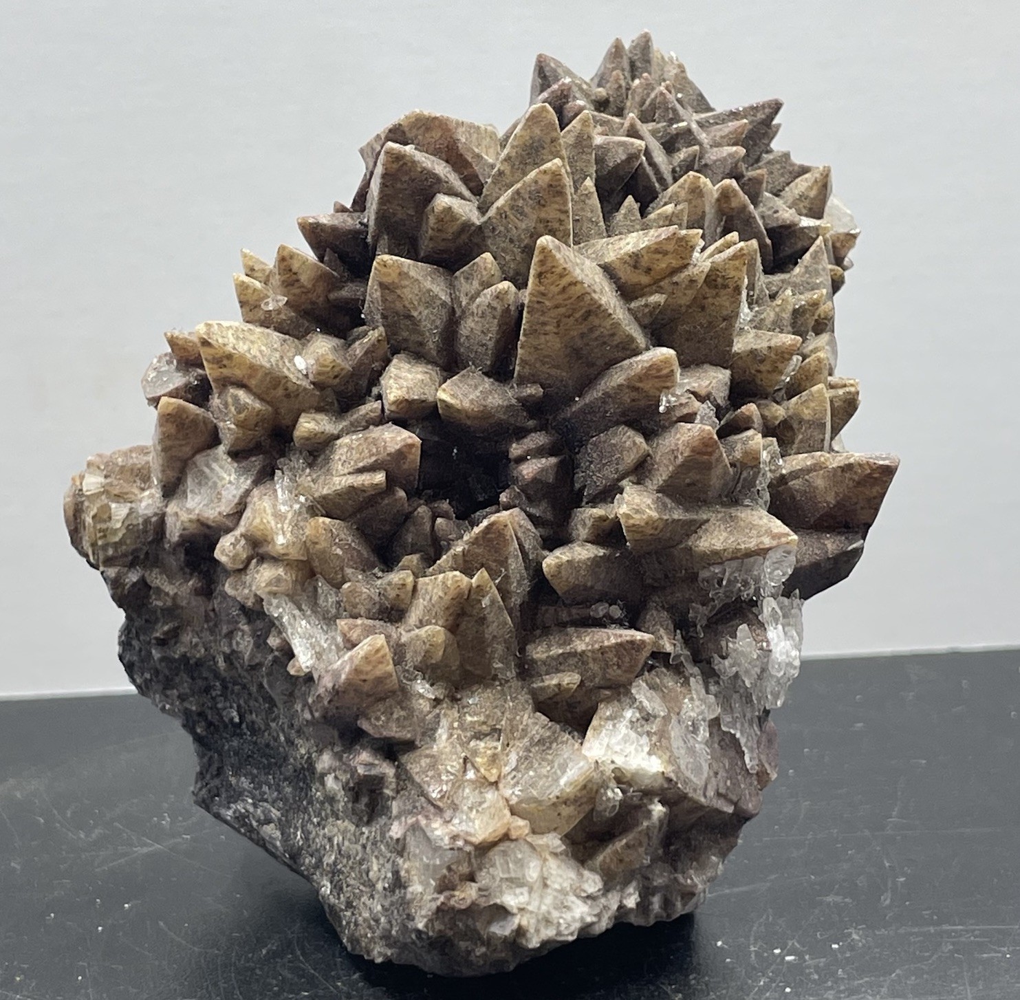 Chocolate Dogtooth Calcite Crystal Cluster Specimen 395g Chocolate Dogtooth Calcite Crystal Cluster Specimen 395g