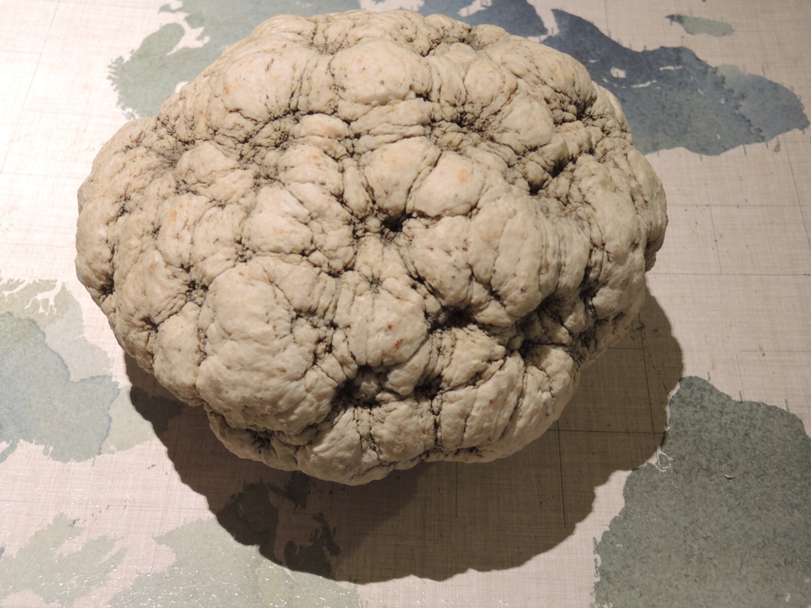 INCREDIBLE VERY RARE RAW MAGNESITE MUSEUM QUALITY SPECIMEN INCREDIBLE VERY RARE RAW MAGNESITE MUSEUM QUALITY SPECIMEN