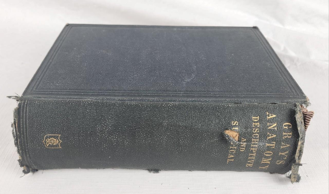 1878 Gray's Anatomy Descriptive and Surgical by Henry Gray, F.R.S.
