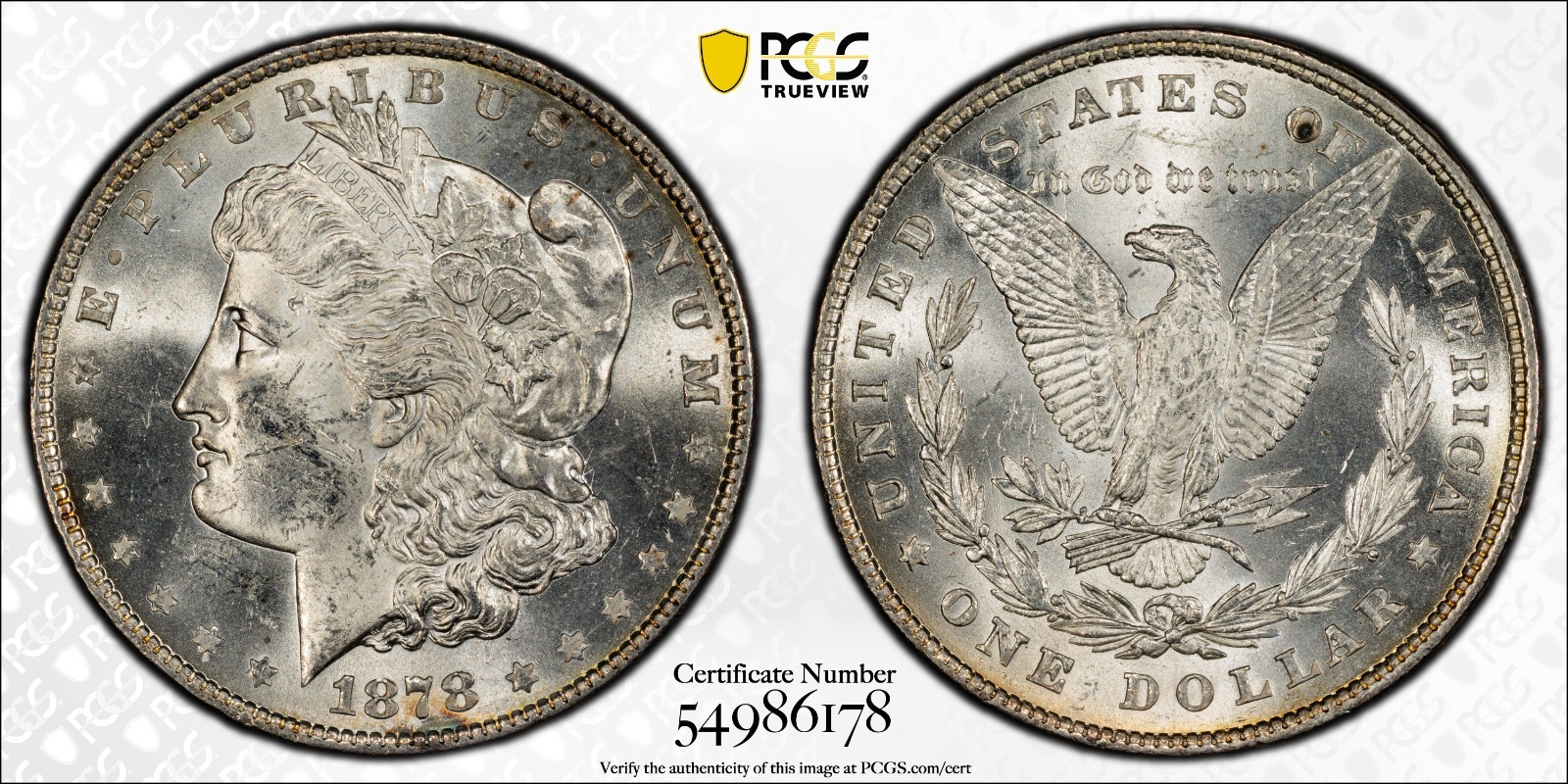 1878 8TF MORGAN $1 PCGS MS62 JUST GRADED 1ST YEAR 1878 8TF MORGAN $1 PCGS MS62 JUST GRADED 1ST YEAR