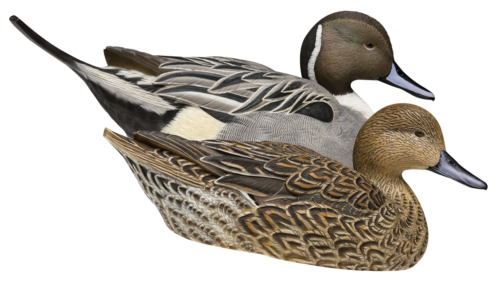 Avian-X Topflight Pintail Duck Decoys 6-Pack