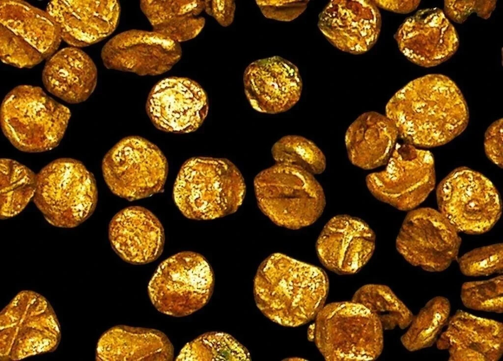 World\'s Smallest Gold Coin from India Vijayanagar Empire (1336-1646 CE)