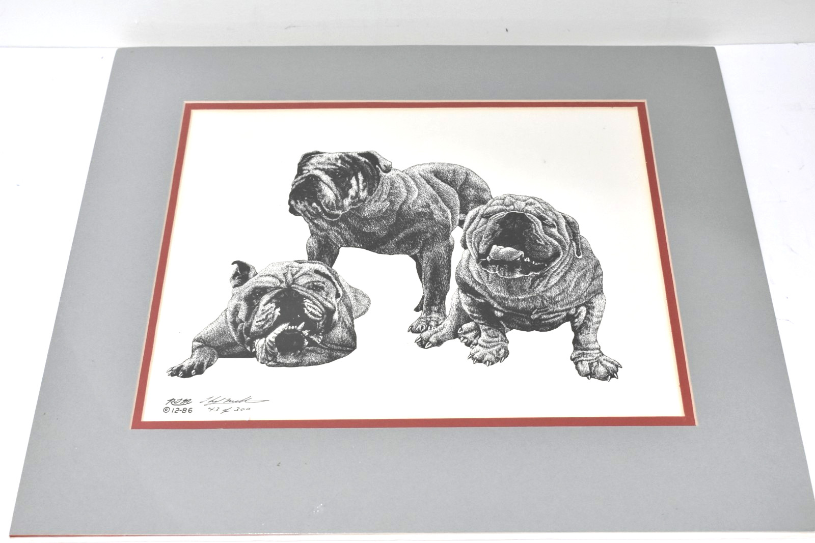 Vintage 1986 Georgia Bulldogs UGA Art Print Signed RJM Limited Edition 43/300 Vintage 1986 Georgia Bulldogs UGA Art Print Signed RJM Limited Edition 43/300