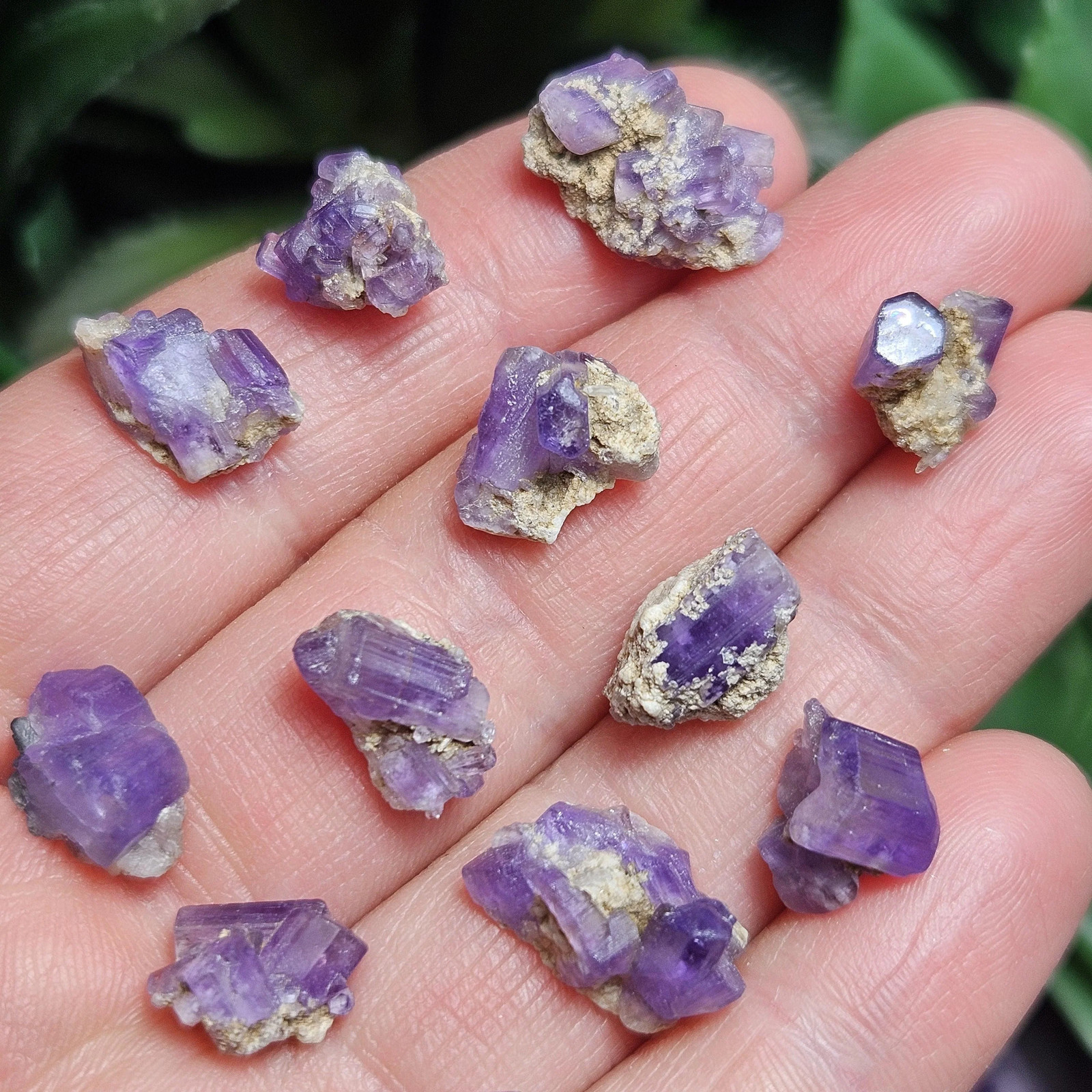 Purple Apatite