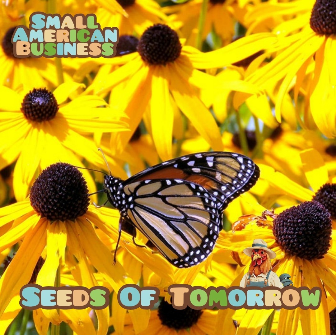 5000 Organic Black Eyed Susan Flower Seeds Non-GMO Heirloom- With Bonus 5000 Organic Black Eyed Susan Flower Seeds Non-GMO Heirloom- With Bonus