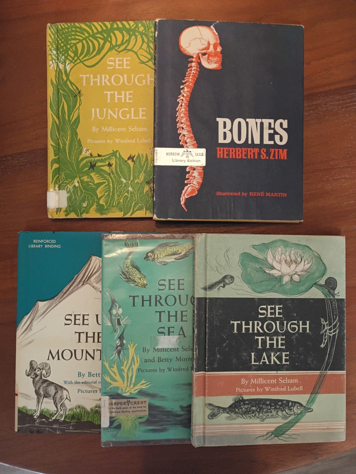 Assorted Vintage Children\'s Science Books, Zim and Selsam
