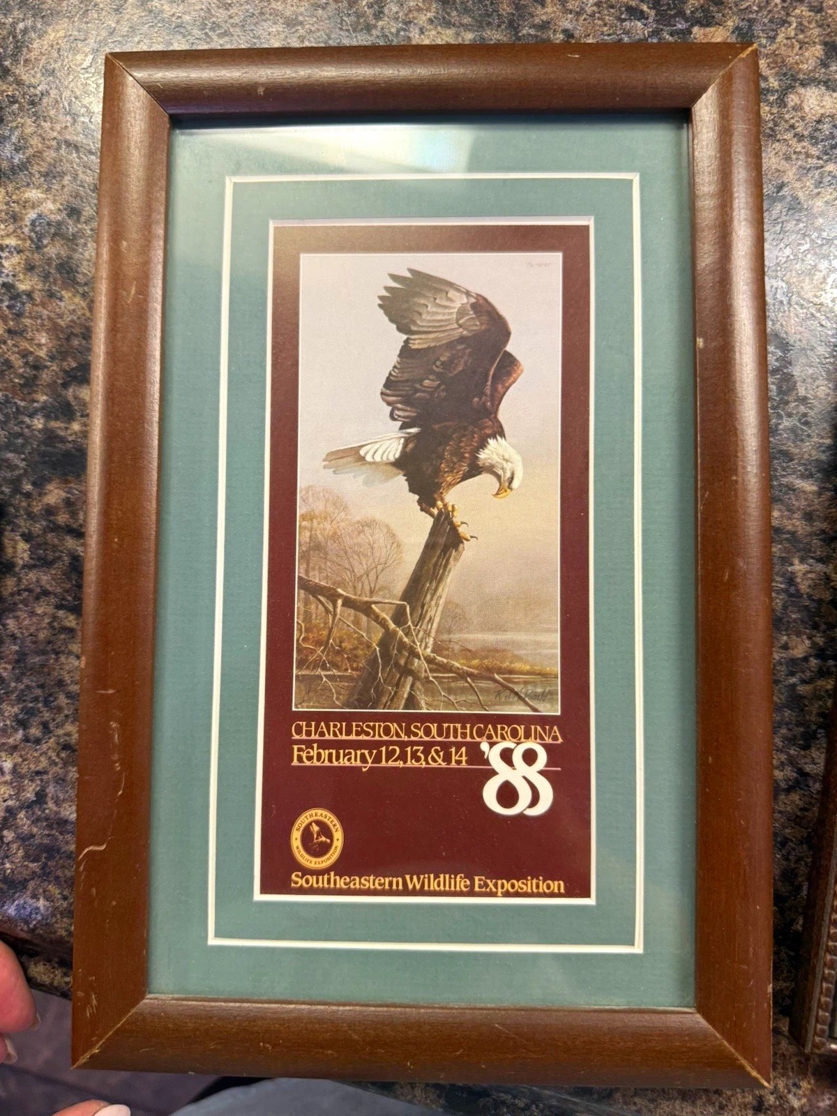 Southeastern Wildlife Exposition Framed Eagle Print, Landscape 7 x 19 in Southeastern Wildlife Exposition Framed Eagle Print, Landscape 7 x 19 in