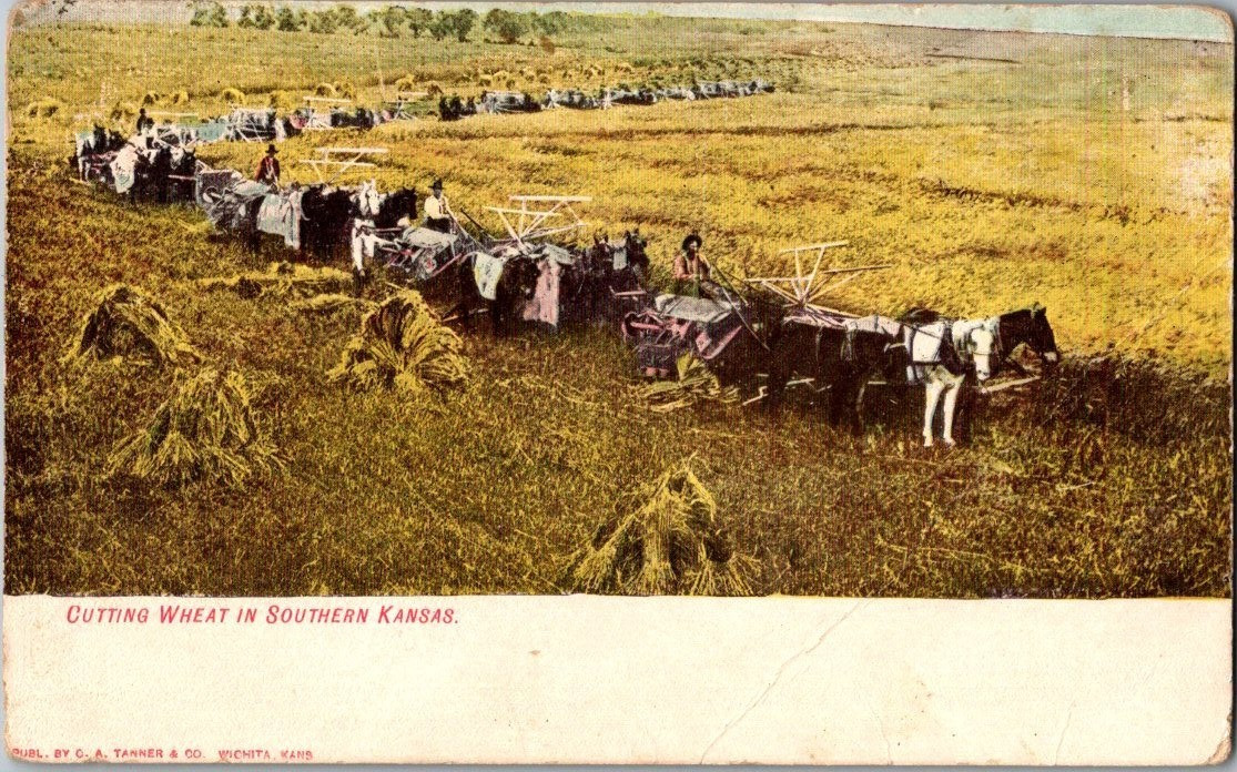 Vintage Postcard 1907-1915 Cutting Wheat in Southern Kansas Vintage Postcard 1907-1915 Cutting Wheat in Southern Kansas