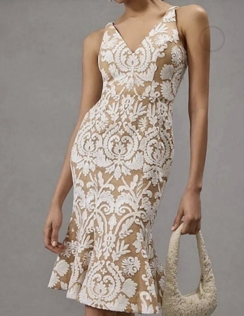 Dress the Population Isabelle Midi Dress Nude White Embroidered Lace Size S NWOT Dress the Population Isabelle Midi Dress Nude White Embroidered Lace Size S NWOT