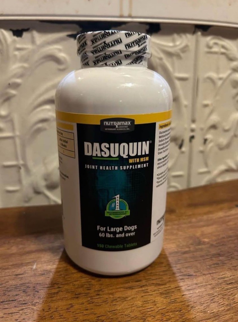 Nutrx Dasquin MSM Hip & Joint Chewable Tablets Joint Supplement ，Large Dogs,2029