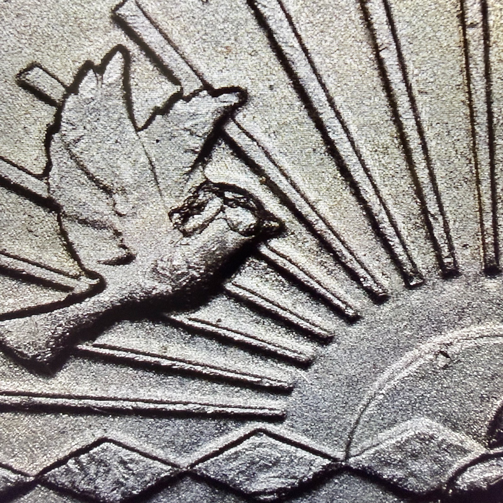 2024 -P Zitkala Sa quarter error, die chips on eye \ 2024 -P Zitkala Sa quarter error, die chips on eye \