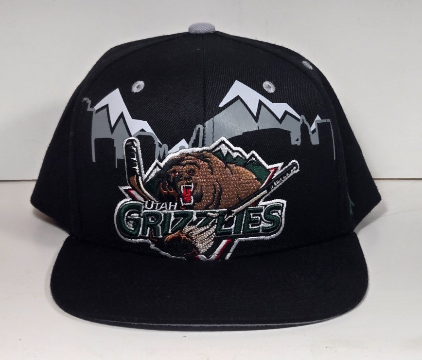 Utah Grizzlies Snapback Cap by CAPX Hockey Hat - Black  / Gray / Green - NWOT