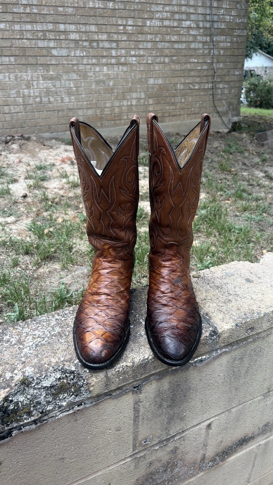 Dan Post Ant Eater š āPrintā Leather Western Cowboy Boots Men Size 10D Dan Post Ant Eater š āPrintā Leather Western Cowboy Boots Men Size 10D