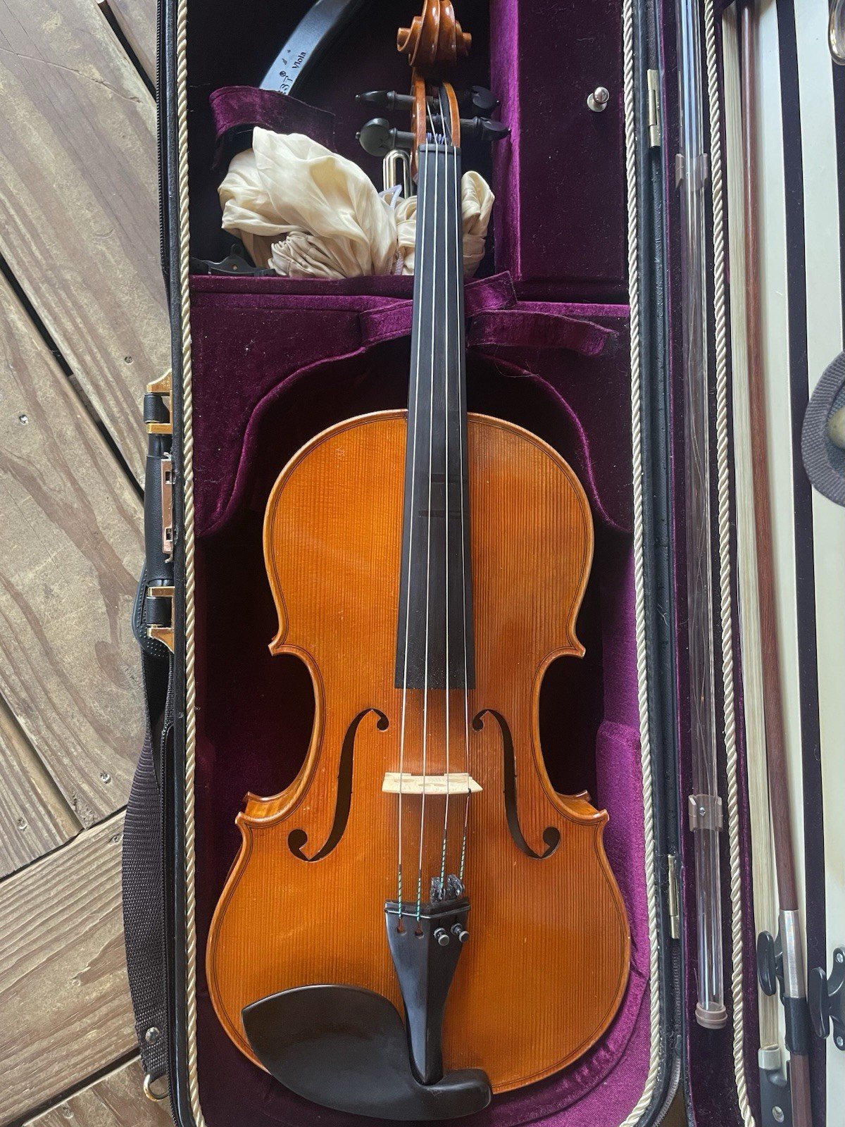 Calin Wultur #6 Viola Calin Wultur #6 Viola
