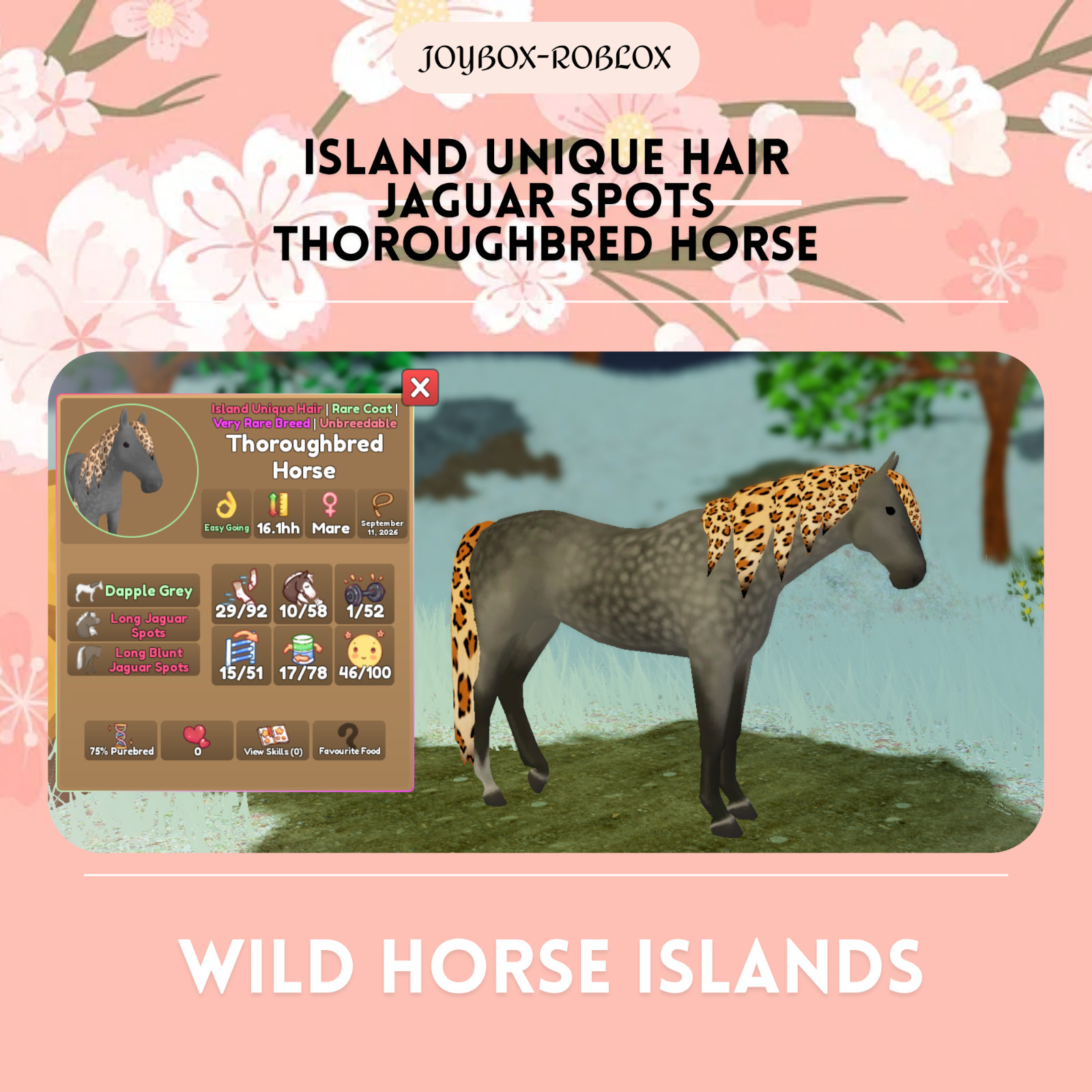 🐎 Wild Horse Islands 🐎 Island Unique Hair IUH Thoroughbred 🐎 Wild Horse Islands 🐎 Island Unique Hair IUH Thoroughbred