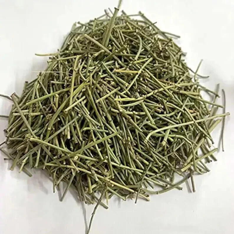 Bulk Somlata Gerard Jointfir Khanta Asmania Gerardiana Herb Branch Stem Herbal