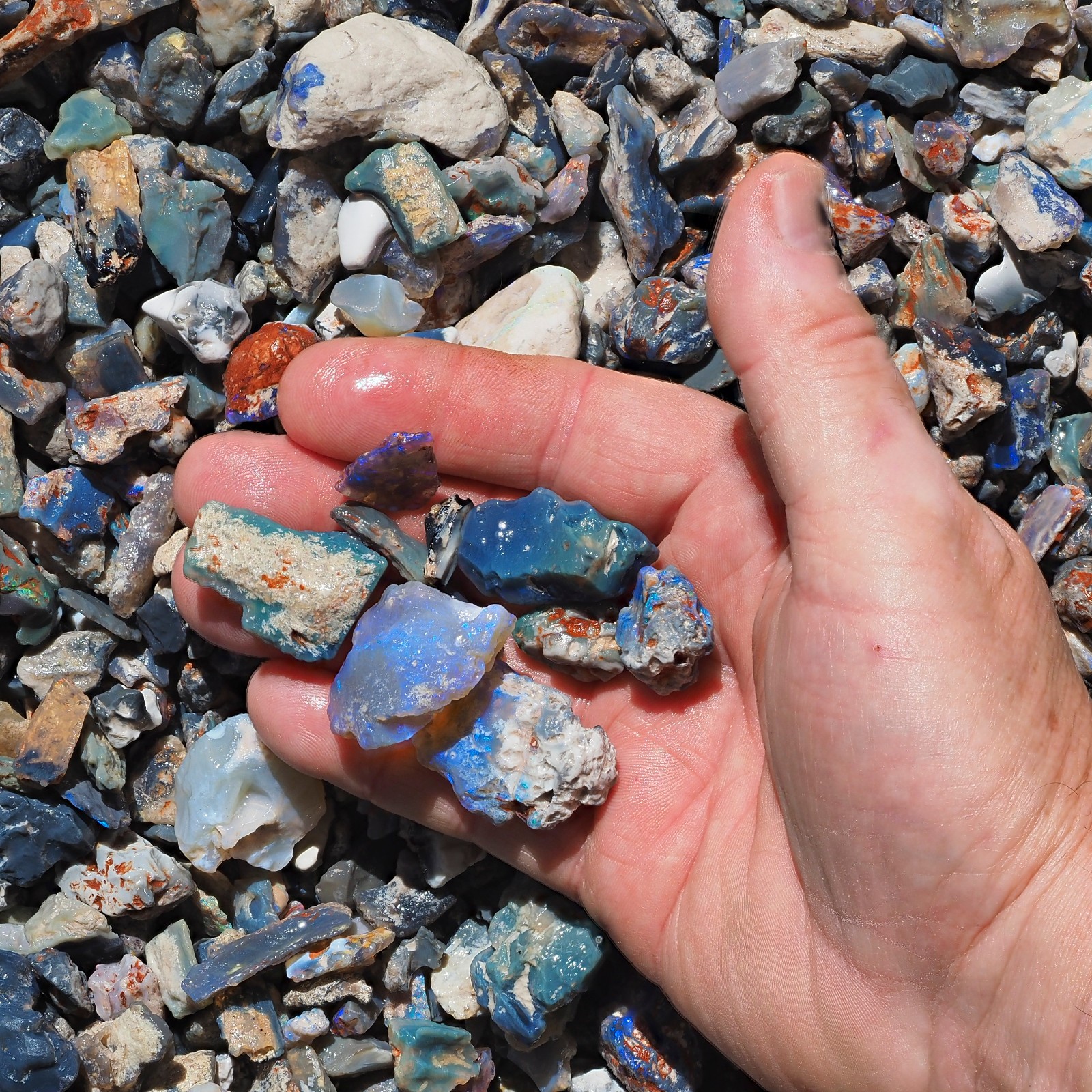 BARGAIN $56 PER OZ FRESH LIGHTNING RIDGE BLACK OPAL ROUGH WITH LOTS OF COLOUR