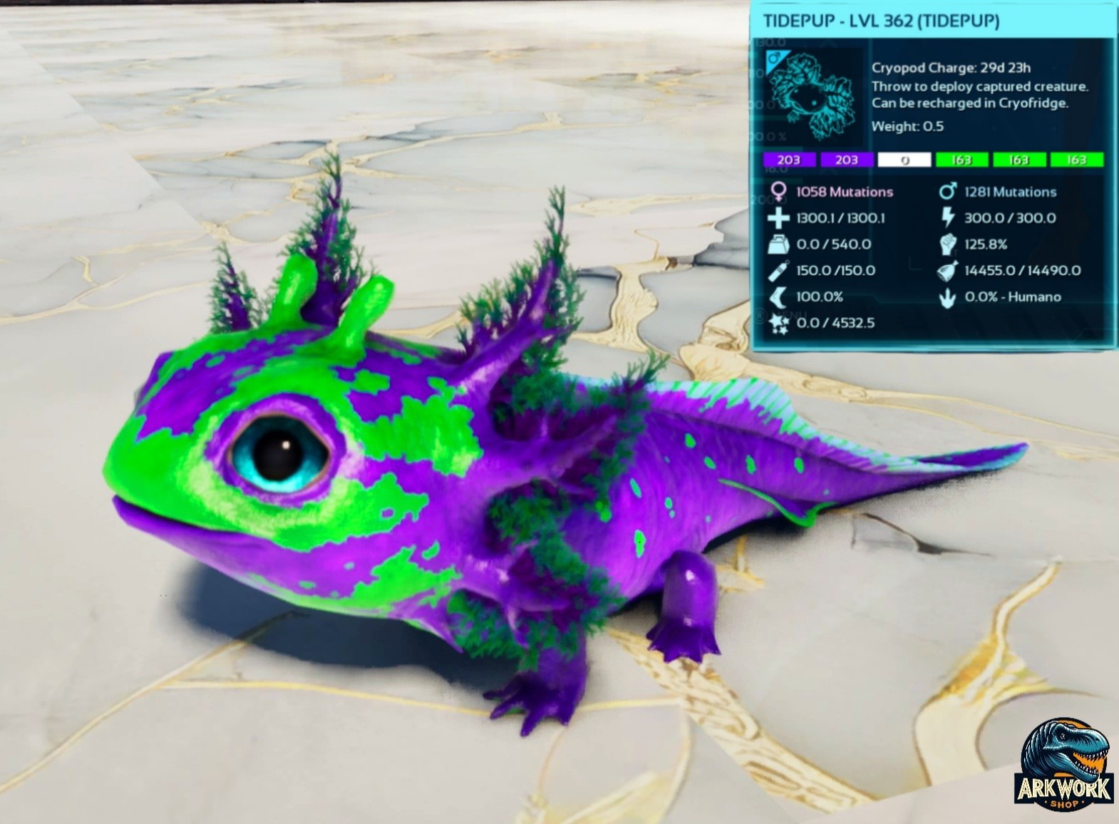 🦖ARK Survival Ascended Tidepup New Top Stats PVE PS5/XBOX/PC