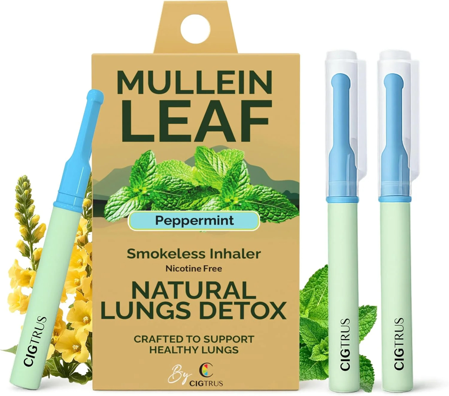 Revair Mullein Purifier Inhaler,with Natural Mullein Leaf Extract for Fresh Air