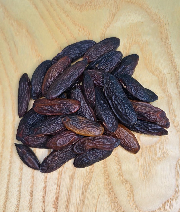 Tonka Beans ~ Dipteryx Odorata ~ Venezuela