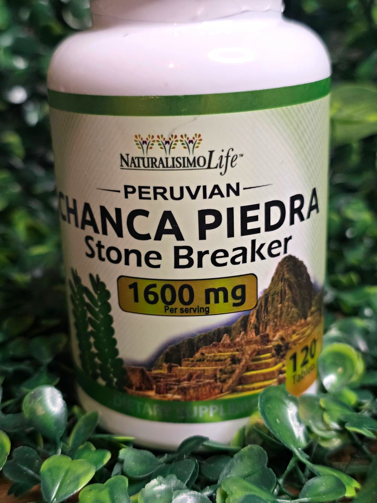 NaturalisimoLife Chanca Piedra 1600mg 120 Tablets Vegan NaturalisimoLife Chanca Piedra 1600mg 120 Tablets Vegan